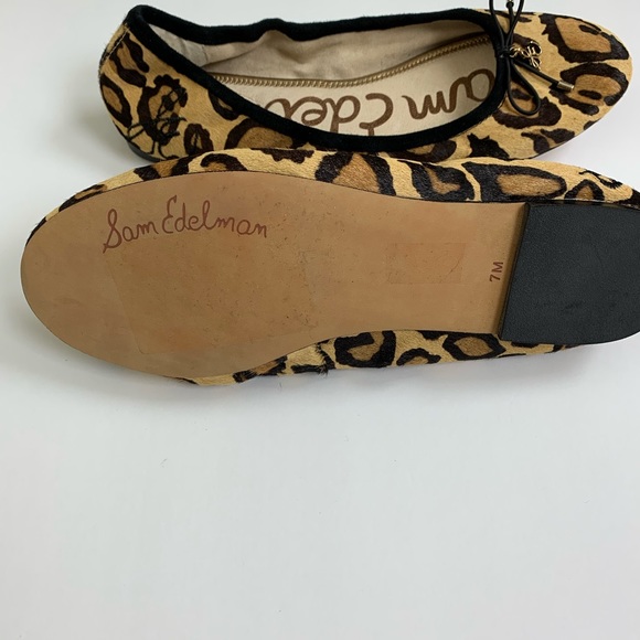 Sam Edelman Felicia Ballet Flat - Picture 5 of 7